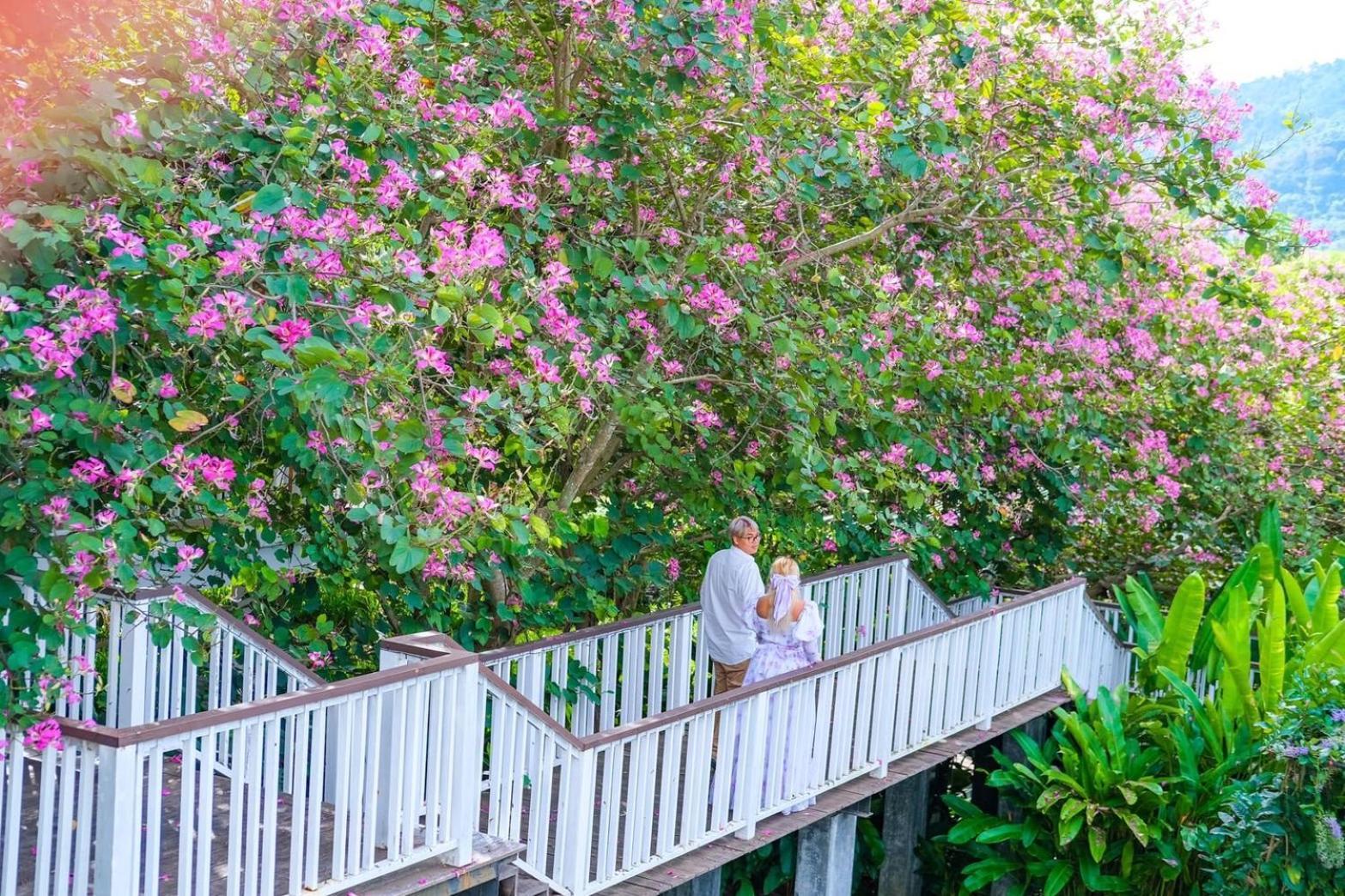 Vivace Khaoyai Hotell Mu Si Eksteriør bilde
